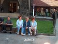zs raciaz11